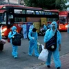 Đoàn xe đưa công dân Bình Thuận từ thành phố Hồ Chí Minh về thành phố Phan Thiết quê tránh dịch COVID-19. (Ảnh: Nguyễn Thanh/TTXVN) 