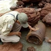 Quả bom được phát hiện ở khu vực biên giới xã Dân Hóa (huyện Minh Hóa, Quảng Bình) có trọng lượng khoảng 334 kg,đã mất phần đuôi nhưng còn nguyên thuốc nổ. (Ảnh: TTXVN phát) 
