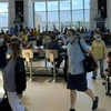Hành khách tại sân bay quốc tế Washington Reagan, bang Virginia, Mỹ ngày 29/6/2021. (Ảnh: AFP/TTXVN) 