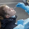 Nhân viên y tế lấy mẫu xét nghiệm COVID-19 tại Auckland, New Zealand. (Ảnh: AFP/TTXVN) 