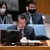Đại sứ Phạm Hải Anh, Phó Trưởng Phái đoàn Việt Nam tại Liên hợp quốc. (Nguồn: TXVN) 