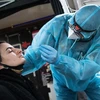 Nhân viên y tế lấy mẫu xét nghiệm COVID-19 cho người dân tại Berlin, Đức. (Ảnh: AFP/TTXVN) 
