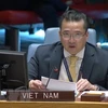 Đại sứ Phạm Hải Anh, Đại biện lâm thời của Việt Nam tại Liên hợp quốc. (Ảnh: TTXVN) 