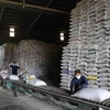 Dây chuyền chế biến, đóng gói gạo thành phẩm tại nhà máy chế biến lương thực Long An (thuộc Vinafood 2). (Ảnh: Phạm Hậu/TTXVN) 