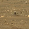Thiết bị bay Ingenuity thực hiện chuyến bay đầu tiên trên Sao Hỏa, ngày 19/4/2021. (Ảnh: AFP/TTXVN) 