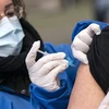 Nhân viên y tế tiêm vaccine phòng COVID-19 cho người dân tại Trelleborg, miền Nam Thuỵ Điển. (Ảnh: AFP/TTXVN) 