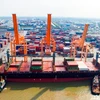 Bốc xếp hàng hóa container tại cảng Hải Phòng. (Ảnh: CTV/Vietnam+) 