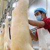 Công nhân chế biến thịt cừu tại một nhà máy ở Khu tự trị dân tộc Choang Quảng Tây, Trung Quốc, ngày 1/12/2021. (Ảnh: THX/TTXVN) 