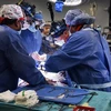 Các bác sỹ tiến hành ca phẫu thuật ghép tim lợn cho bệnh nhân tại Baltimore, bang Maryland, Mỹ ngày 7/1/2022. (Ảnh: AFP/TTXVN) 