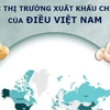 [Infographics] Các thị trường xuất khẩu chính của điều Việt Nam