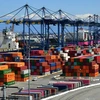 Container hàng hóa được xếp tại cảng Los Angeles, Mỹ. (Ảnh: AFP/TTXVN) 