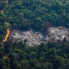 Khoảng rừng Amazon bị chặt phá tại Altamira, bang Para, Brazil, ngày 28/8/2019. (Ảnh: AFP/TTXVN) 