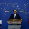 Người phát ngôn Bộ Ngoại giao Iran Saeed Khatibzadeh phát biểu trong một cuộc họp báo ở Tehran. (Ảnh: IRNA/TTXVN) 