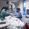 Nhân viên y tế điều trị cho bệnh nhân COVID-19 tại bệnh viện. (Ảnh: AFP/TTXVN) 