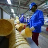 Thị trường lao động việc làm của Việt Nam quý 1/2022 đã dần phục hồi trở lại cùng nền kinh tế thích ứng linh hoạt. (Ảnh: Tuấn Anh/TTXVN) 