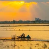 Đánh bắt cá tại cánh đồng ngập lũ cuối mùa ở huyện Vị Thủy, tỉnh Hậu Giang. (Ảnh: Duy Khương/TTXVN) 