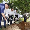 Chủ tịch nước Nguyễn Xuân Phúc trồng cây tại Khu lưu niệm Thủ tướng Võ Văn Kiệt ở thị trấn Vũng Liêm, huyện Vũng Liêm, tỉnh Vĩnh Long. (Ảnh: Thống Nhất/TTXVN) 
