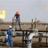 Một cơ sở lọc dầu tại Nasiriyah, Iraq. (Ảnh: AFP/TTXVN) 