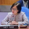Đại sứ Nguyễn Phương Trà, Phó Trưởng Phái đoàn Thường trực Việt Nam tại Liên hợp quốc. (Ảnh: TTXVN) 