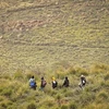 Người di cư tìm cách vượt biên từ Maroc sang vùng lãnh thổ Melilla của Tây Ban Nha, gần Nador, ngày 4/3/2022. (Ảnh: AFP/TTXVN) 