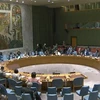 Một cuộc họp về tình hình Haiti của Hội đồng Bảo an Liên hợp quốc. (Nguồn: TTXVN) 