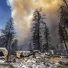 Xe ôtô, nhà cửa bị thiêu rụi trong vụ cháy rừng tại bang California (Mỹ), ngày 23/7/2022. (Ảnh: AFP/TTXVN) 