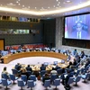 Toàn cảnh một cuộc họp Hội đồng Bảo an Liên hợp quốc về tình hình Cộng hoà Trung Phi. (Ảnh: TTXVN phát) 
