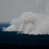 Khói bốc lên từ đám cháy tại rừng Grunewald ở Berlin, Đức, ngày 4/8/2022. (Ảnh: AFP/TTXVN) 