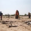 Người dân đứng cạnh xác các vật nuôi bị chết do hạn hán tại Gode, Ethiopia, ngày 7/4/2022. (Ảnh: AFP/TTXVN) 