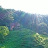 [Photo] Chiêm ngưỡng biệt thự đỏ huyền bí của Pháp ở Cao Bằng