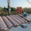 Phơi bánh tráng tại Làng nghề truyền thống bánh tráng An Ngãi, tỉnh Bà Rịa-Vũng Tàu. (Ảnh: TTXVN phát) 