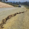 Xuất hiện vết nứt trên một con đường sau trận động đất ở Papua New Guinea. (Nguồn: CNN) 