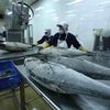Công ty Cổ phần Thủy sản Bình Định chế biến cá ngừ đông lạnh xuất khẩu sang thị trường Nhật Bản, Mỹ và châu Âu. (Ảnh: Vũ Sinh/TTXVN) 