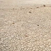 ​Tỉnh Giang Tây đã trải qua hơn 70 ngày cực kỳ khô hạn. (Nguồn: cneb.gov.cn) 