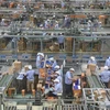 Công nhân làm việc tại một nhà máy ở Giang Tô, Trung Quốc. (Ảnh: AFP/TTXVN) 