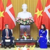 Phó Chủ tịch nước Võ Thị Ánh Xuân hội đàm với Thái tử kế vị Đan Mạch Frederik. (Ảnh: Lâm Khánh/TTXVN) 