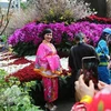 Ấn tượng Lễ hội giao lưu văn hóa Kochi-Việt Nam tại Nhật Bản