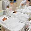 ​Số trẻ được sinh ra từ tháng Một đến tháng Chín năm nay tại Nhật Bản là 599.636 trẻ, bao gồm cả trẻ người nước ngoài, giảm 30.933 trẻ so với cùng kỳ năm ngoái. (Nguồn: Nikkei)