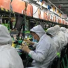 Công nhân tại một xưởng sản xuất của khu công nghệ Foxconn ở Trịnh Châu, tỉnh Hà Nam, miền Trung Trung Quốc. (Nguồn: VCG)