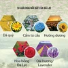 [Infographics] Festival Hoa Đà Lạt lần thứ IX tại tỉnh Lâm Đồng