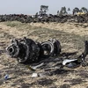 Một bộ phận của máy bay Boeing 737 MAX thuộc Hãng hàng không Ethiopian Airlines tại hiện trường vụ tai nạn gần thủ đô Addis Ababa, ngày 11/3/2019. (Nguồn: AFP/TTXVN)