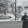 Tuyết rơi dày đặc tại Tokushima, Nhật Bản, ngày 23/12/2022. (Ảnh: Kyodo/TTXVN)