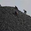 Công nhân phân loại than tại mỏ than ở Đại Đồng, tỉnh Sơn Tây, Trung Quốc. (Ảnh: AFP/TTXVN)