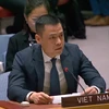 Đại sứ Đặng Hoàng Giang, Trưởng Phái đoàn Việt Nam tại Liên hợp quốc, phát biểu trước Hội đồng Bảo an. (Ảnh: TTXVN/phát)