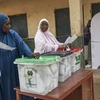 Cử tri Nigeria bỏ phiếu bầu Tổng thống và nghị sỹ quốc hội ở Yola ngày 25/2/2023. (Ảnh: AFP/TTXVN)