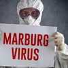 Marburg là virus gây xuất huyết nguy hiểm, có khả năng lây nhiễm cao tương tự Ebola và có thể gây tử vong. (Nguồn: Reuters)