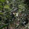 Cán bộ chốt kiểm lâm Phiêng Bung, Tuyên Quang tuần tra, rà soát địa phận rừng thuộc diện quản lý. (Ảnh: Nam Sương/TTXVN)