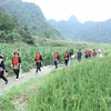Phong cảnh xanh mát thôn Lũng Slàng, xã Tri Phương, huyện Tràng Định, tỉnh Lạng Sơn thu hút du khách. (Ảnh: Anh Tuấn/TTXVN)