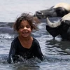 Một bé gái người Iraq đang ngâm mình dưới nước của dòng sông Diyala. (Nguồn: AFP)