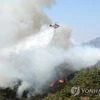 15 trực thăng được huy động tới dập tắt đám cháy trên núi Inwang. (Nguồn: Yonhap)